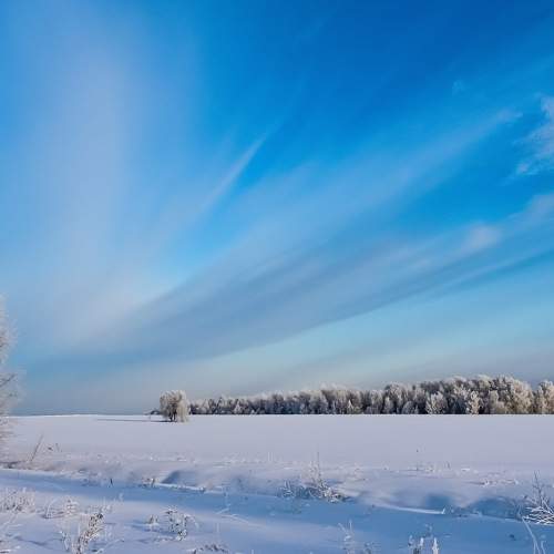Photo #7033126