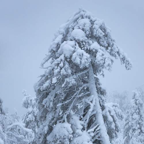 Photo #7033422