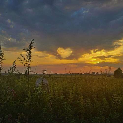 Photo #7033483