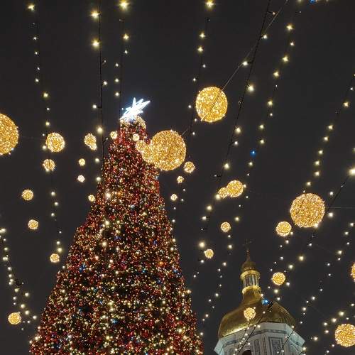 Photo #7033619