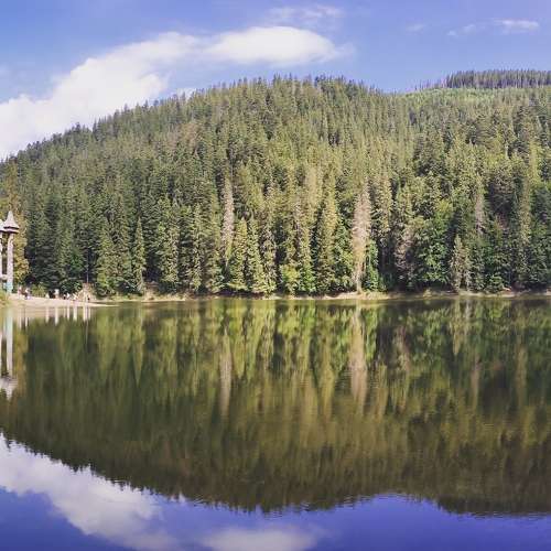 Photo #7033642