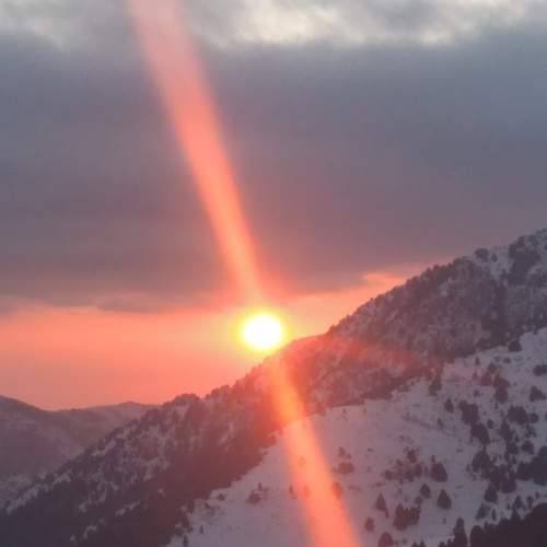 Photo #7033892
