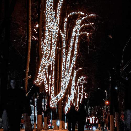 Photo #7033972