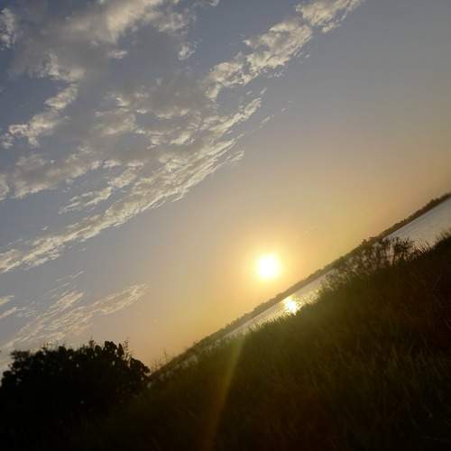 Photo #7034270