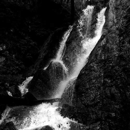 Photo #7034362