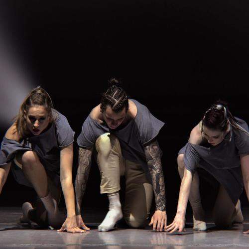 Photo #7034441