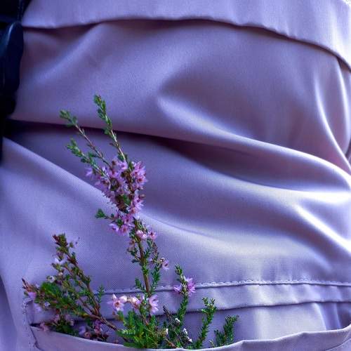 Photo #7034466