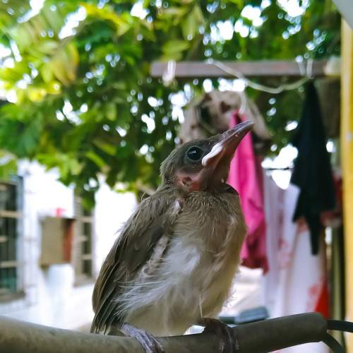 Photo #7034490