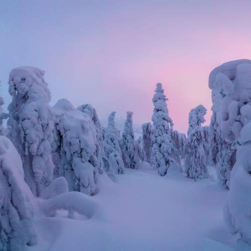 Photo #7034827