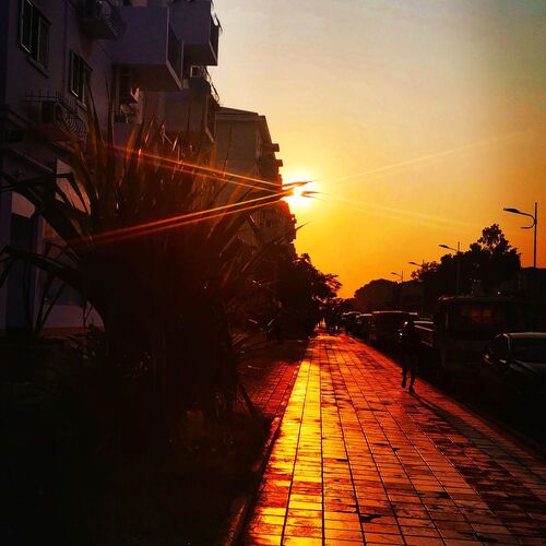 Photo #7035312