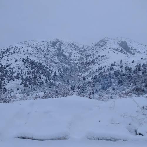 Photo #7035619