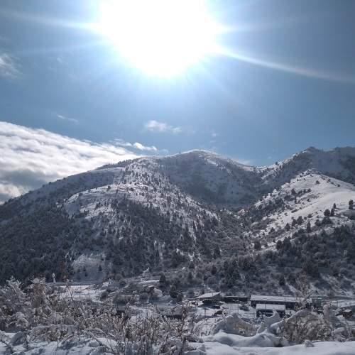 Photo #7035620