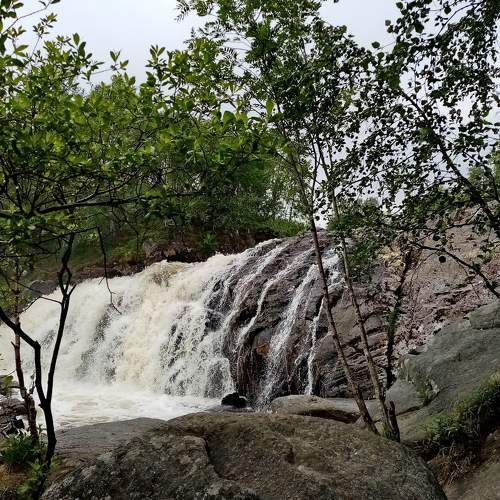 Photo #7035677