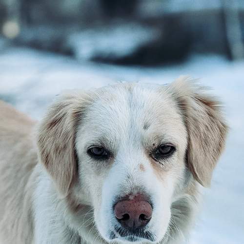 Photo #7036011