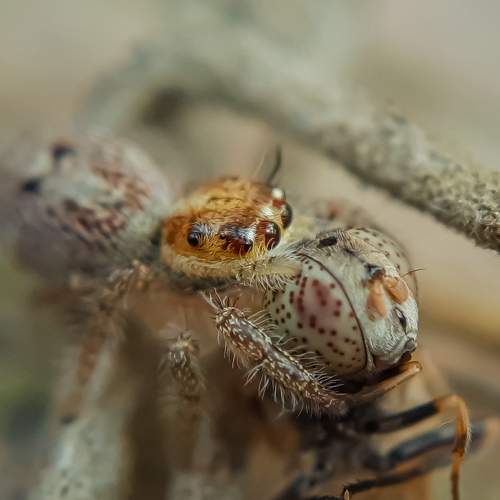 Photo #7036053