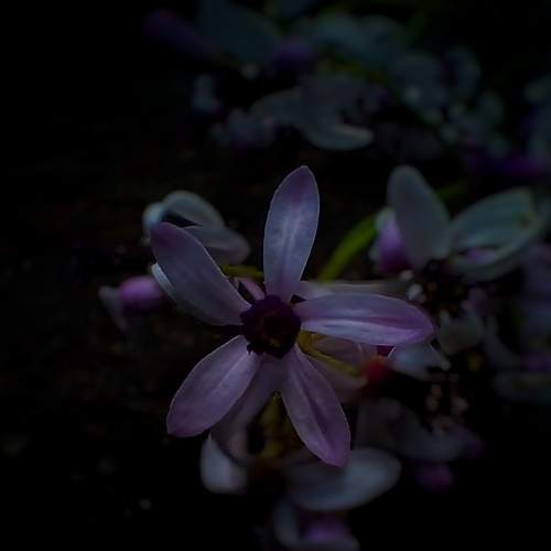 Photo #7036287