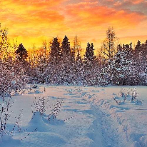 Photo #7036515