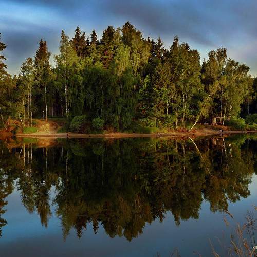 Photo #7037026