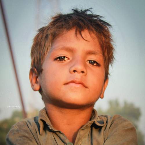 Photo #7037027