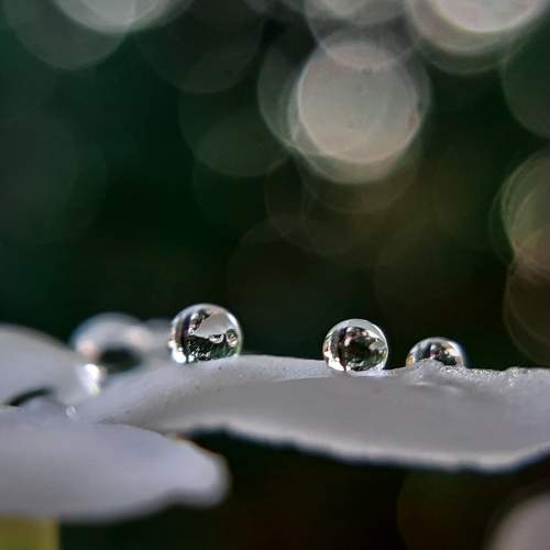 Photo #7037485