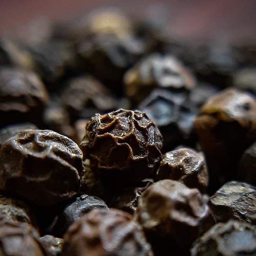 Photo #7037491