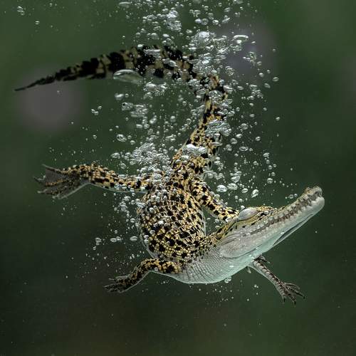 Фотография #7037838