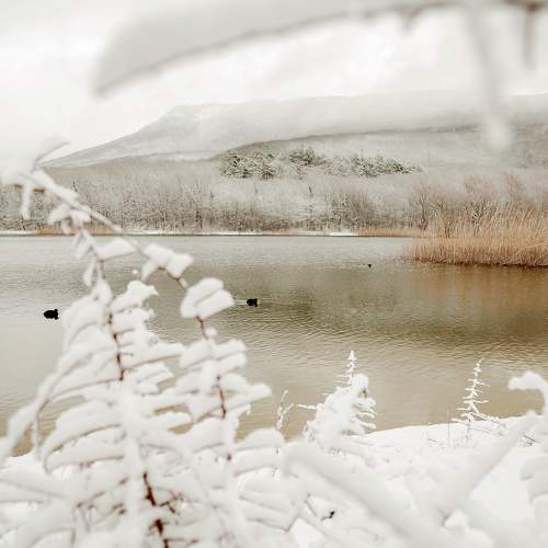 Photo #7038182