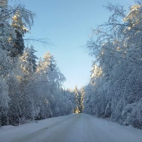 Photo #7038225