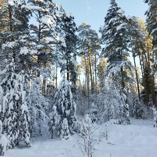 Photo #7038226