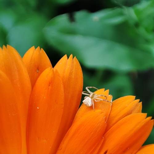 Photo #7038235
