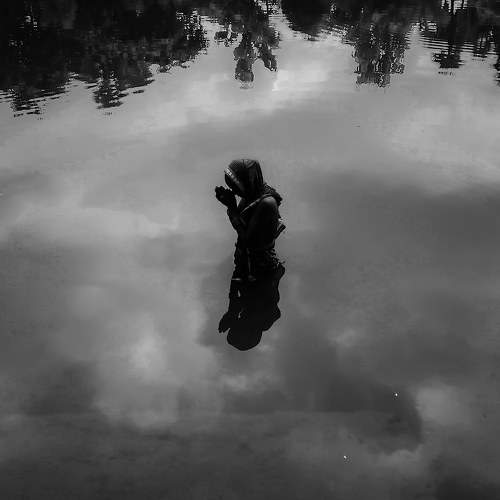 Photo #7038260