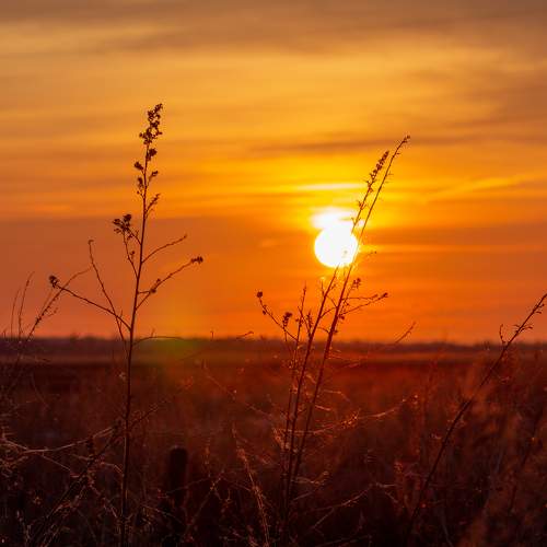 Photo #7038347