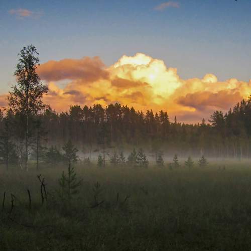 Photo #7038348