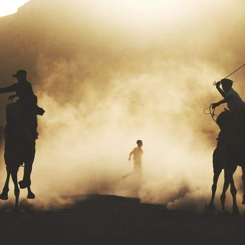 Photo #7038359