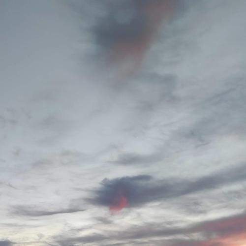 Photo #7038493