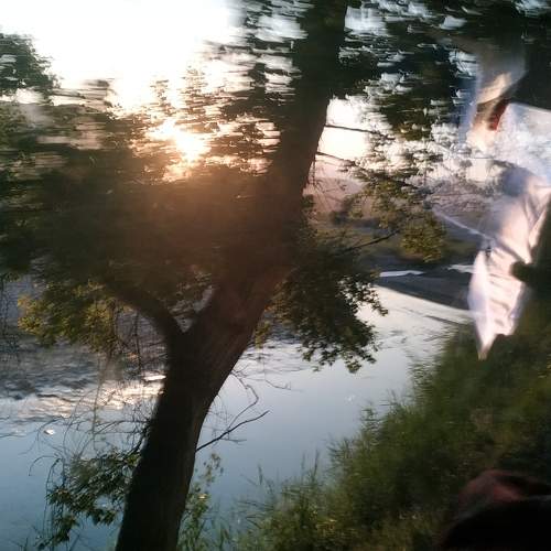 Photo #7038693