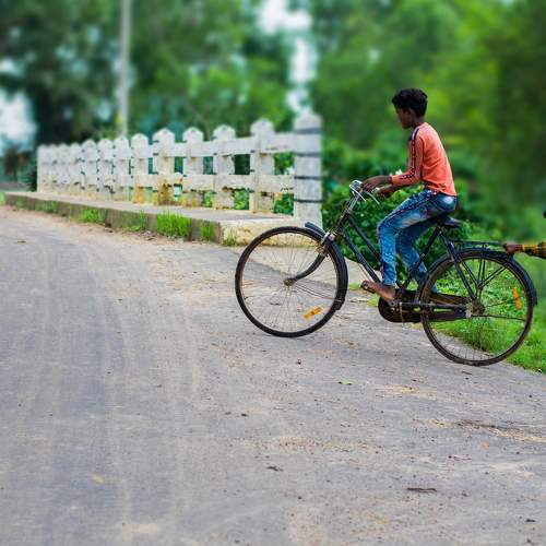 Photo #7038799