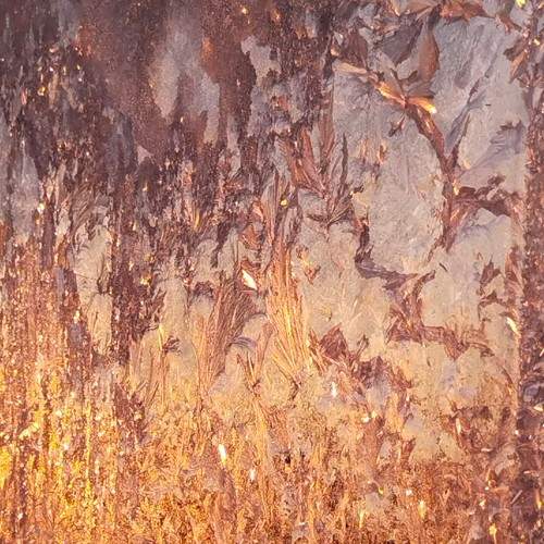 Photo #7038954