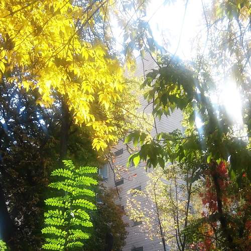 Photo #7039480