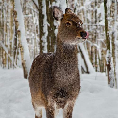 Photo #7039596