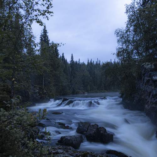 Photo #7039738