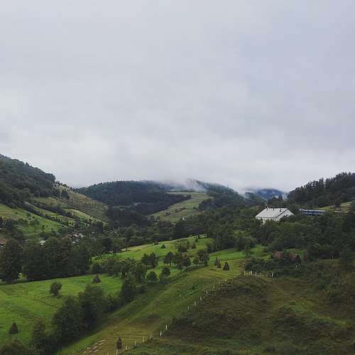 Photo #7039967