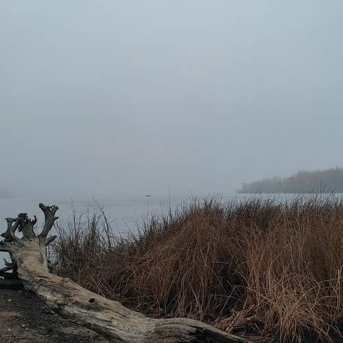 Photo #7040009