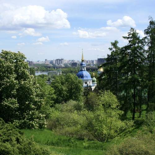 Photo #7040180