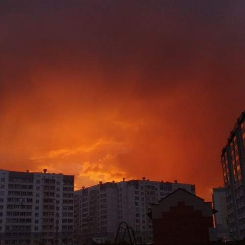 Photo #7041019