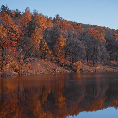 Photo #7041031