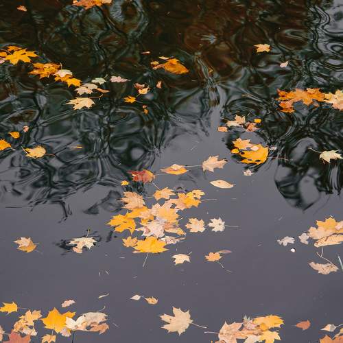 Photo #7041033