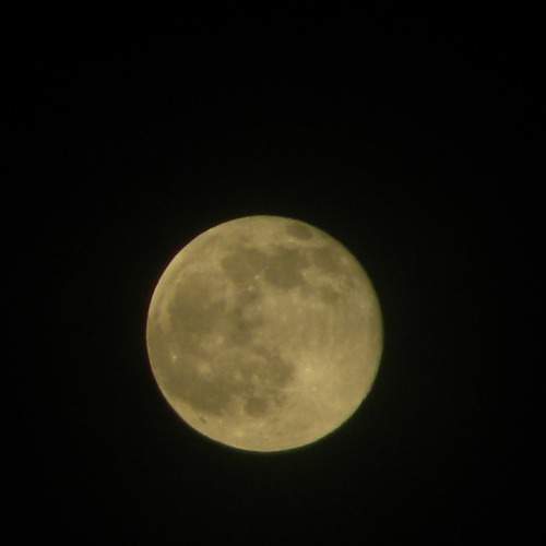 Photo #7041111