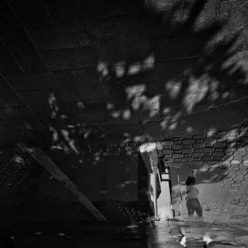 Photo #7041121