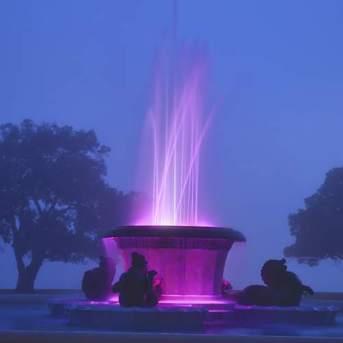 Photo #7041169
